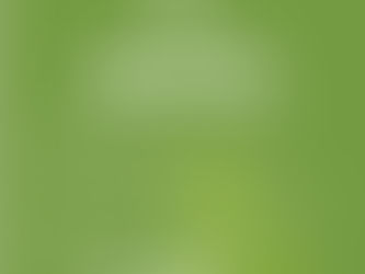 Por qué los productos basados en cáñamo (hemp) están revolucionando el cuidado de mascotas