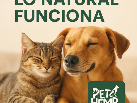 4 beneficios comprobados de PET HEMP para la salud física y emocional de perros y gatos