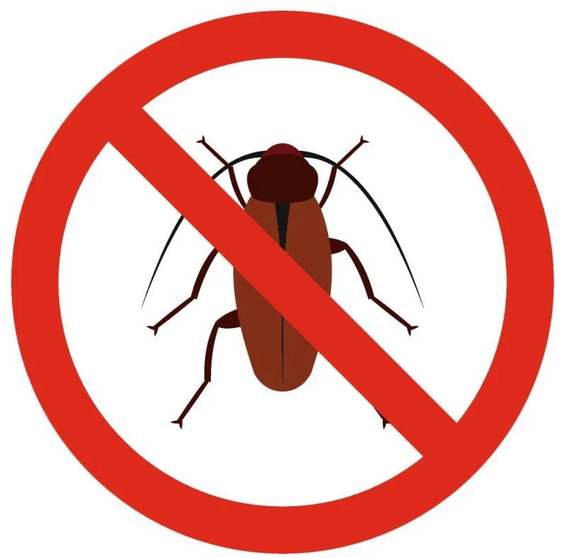 800_crop_5eb1ee09097c0_5eb1b8c0dc583.webp