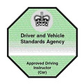 adi badge.jpeg