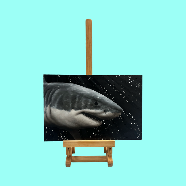 Thumbnail: Mystery print gift box - Sharks