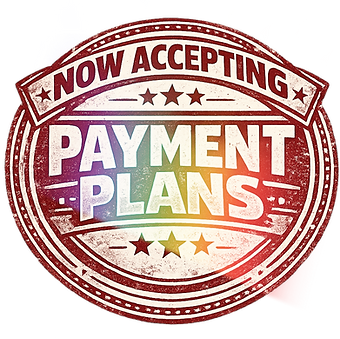 Tech Turtle providing professional website design and SEO services for small businesses