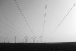 Les lignes