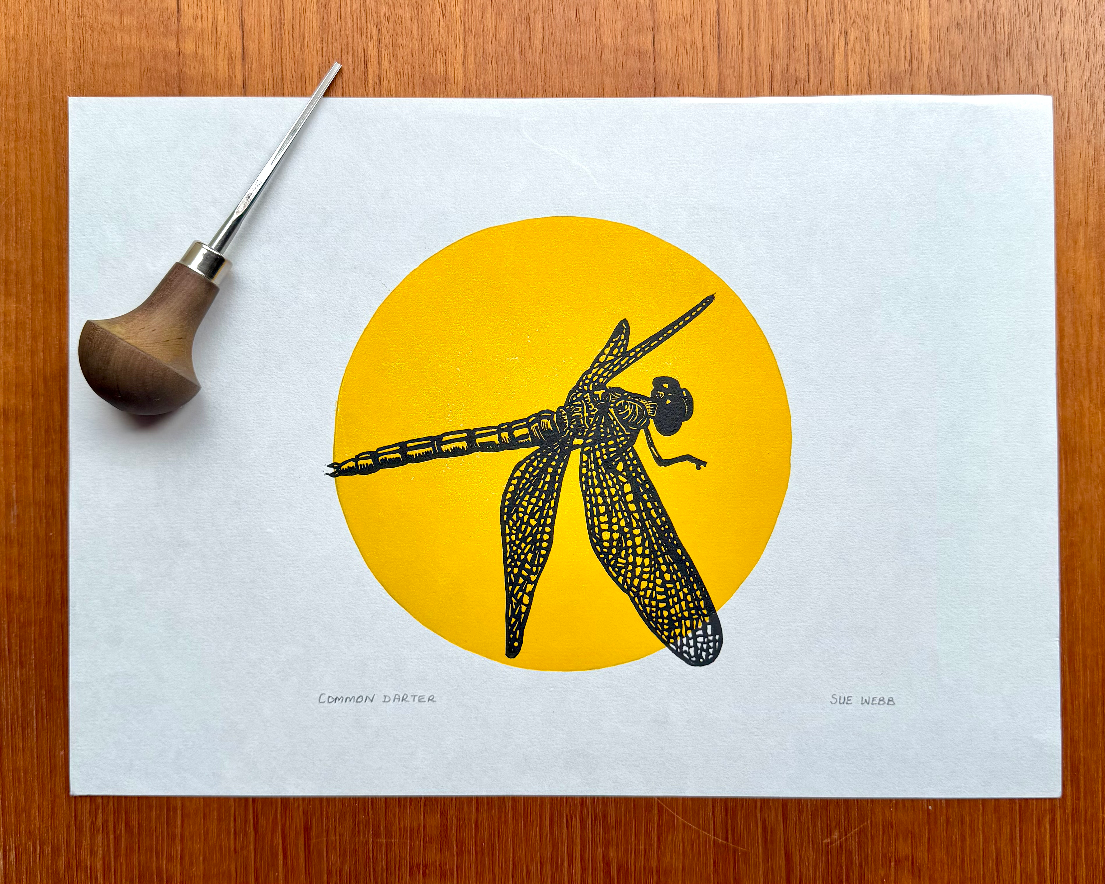 'Common Darter' original open edition linocut print