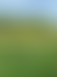 Norfolk countryside, England for grounding barefoot walking