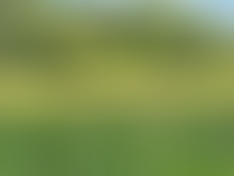 Norfolk countryside, England for grounding barefoot walking