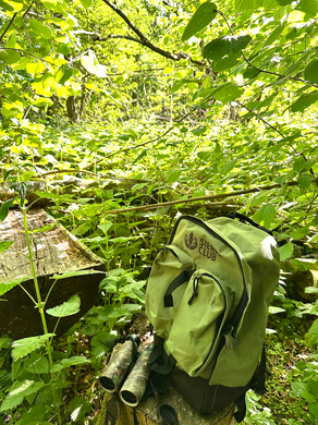 Sierra club hiking backpack and binoculars in Norfolk woodland