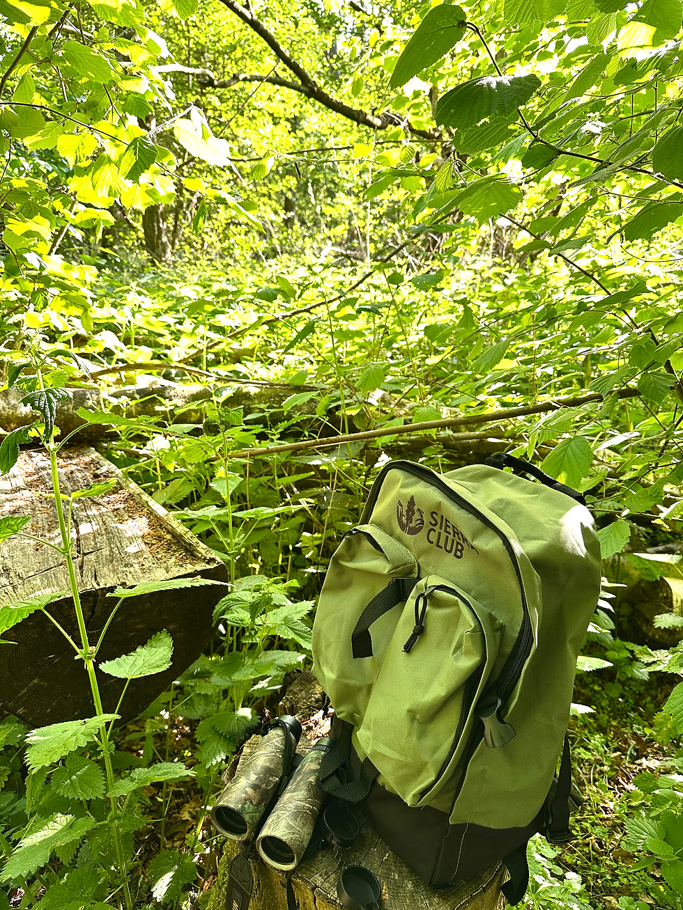 The Norfolk Naturalist binoculars and Sierra Club backpack in East Anglia