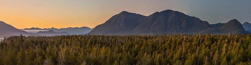 Screenshot 2024-09-07 at 2.03.55 PM.png