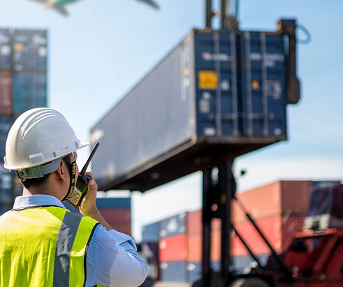 Cargo Logistis