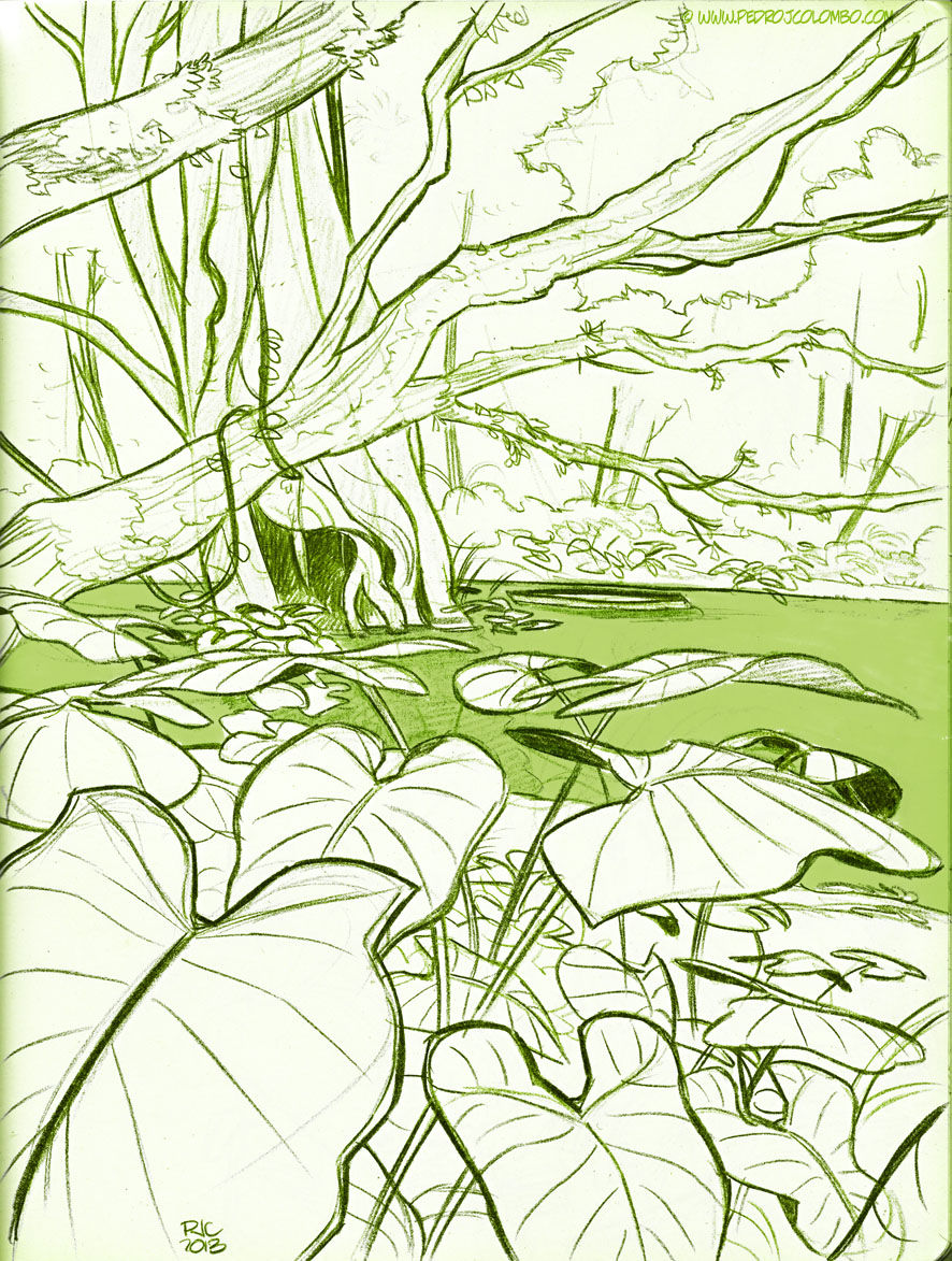 JUNGLE