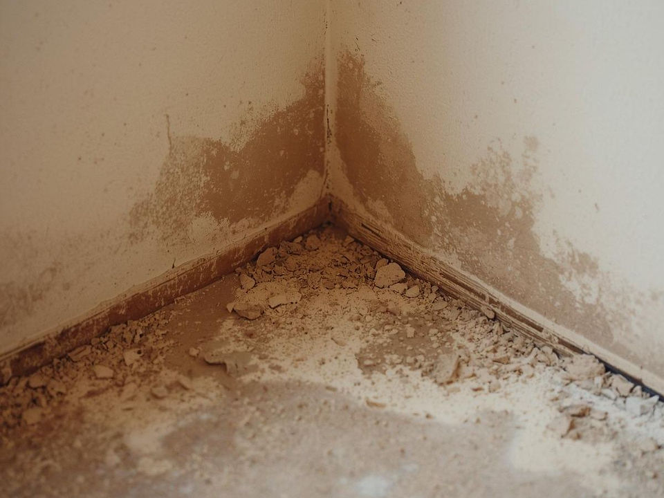 Dust and debris collect in a room corner after construction work