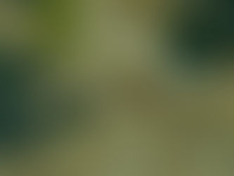 3. The Riverlands [S07E03]