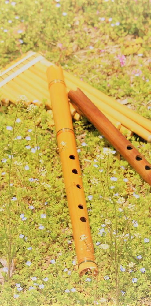 コンサート Mysite コンサート Mysite