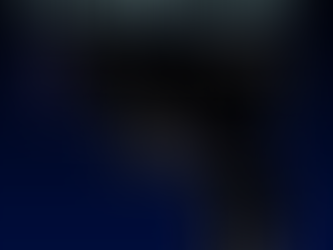 Real System of bodyguards