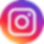 6636566_instagram_social media_social network_icon.png