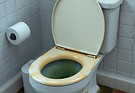 clogged toilet.jpg