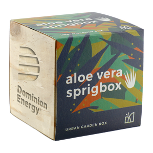 aloeverabox1b.png