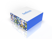 220419_AnthemGolfBoxMailerv1-Current View.png