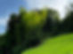 IMG_3310.jpeg