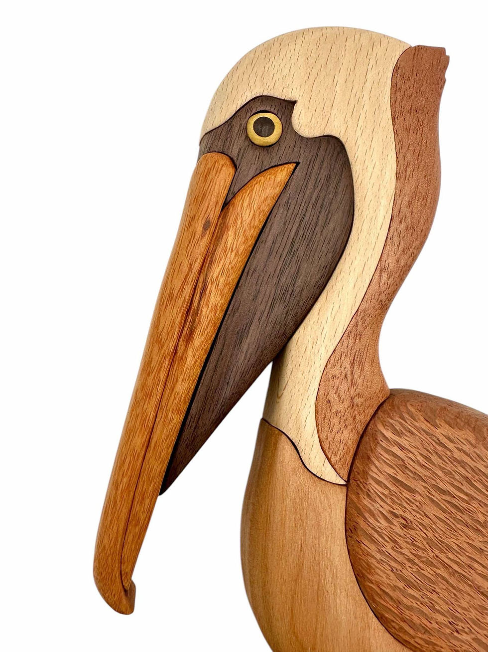 Thumbnail: Pelican