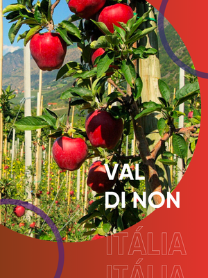 Val di Non e a maçã Kissabel: uma experiência de sabor e natureza
