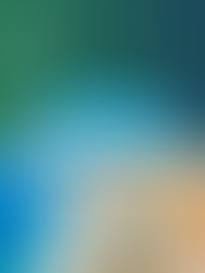 Ruas e sabores da Velha Nice