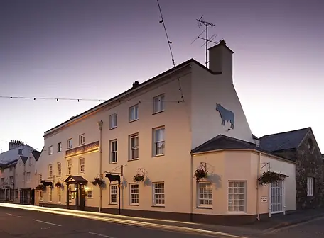 Bulls Head.webp