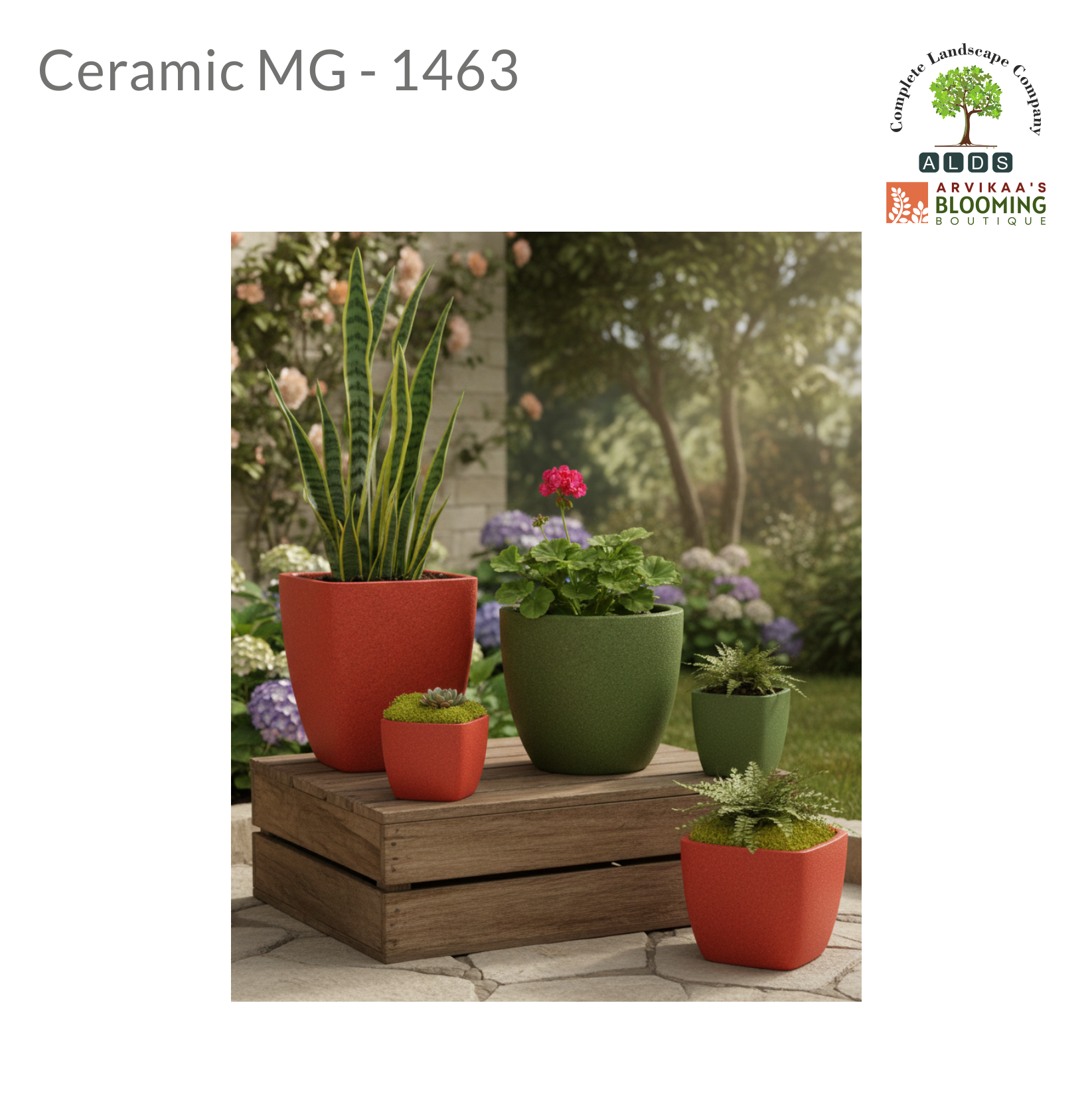 Ceramic MG 1463
