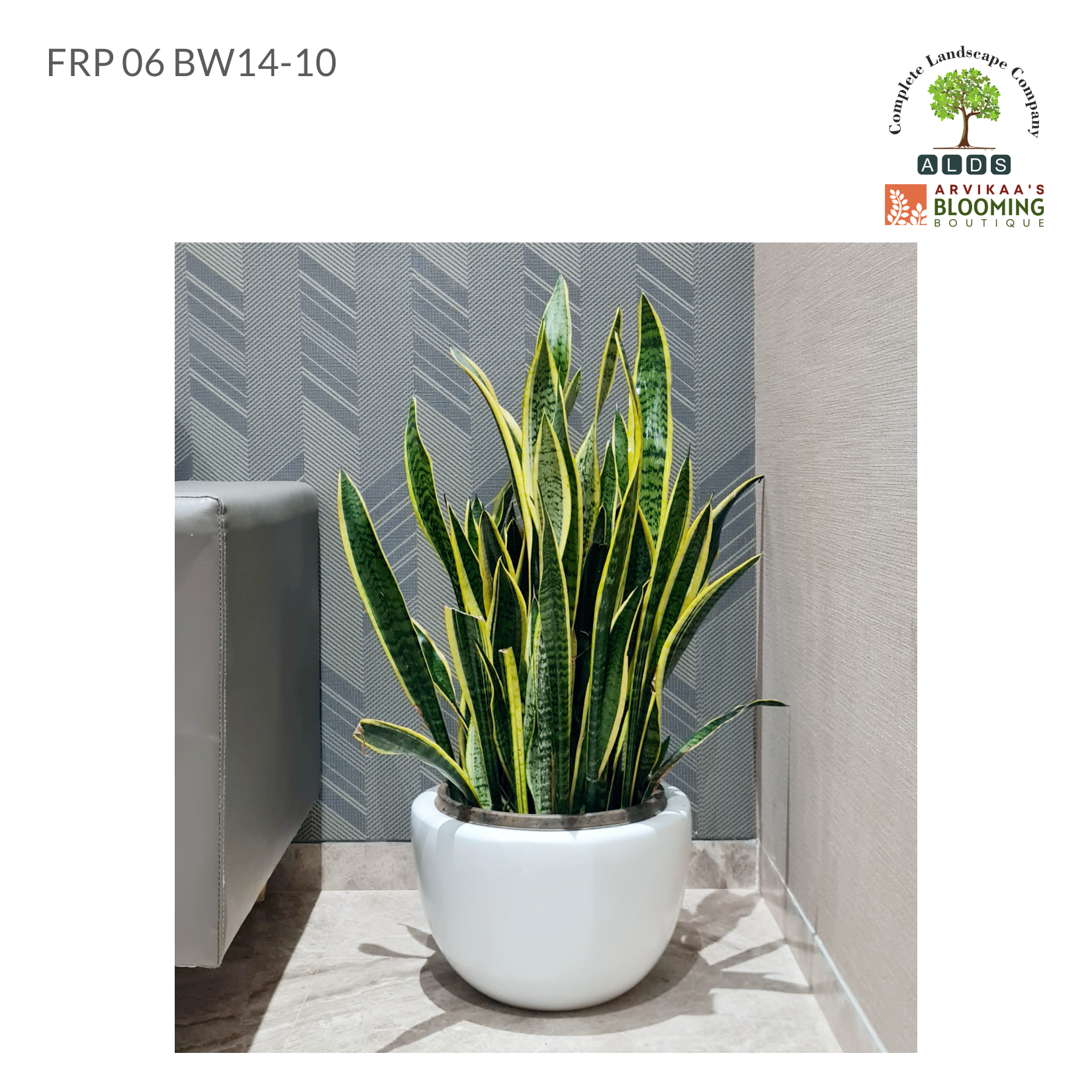 FRP 06 BW 14-10