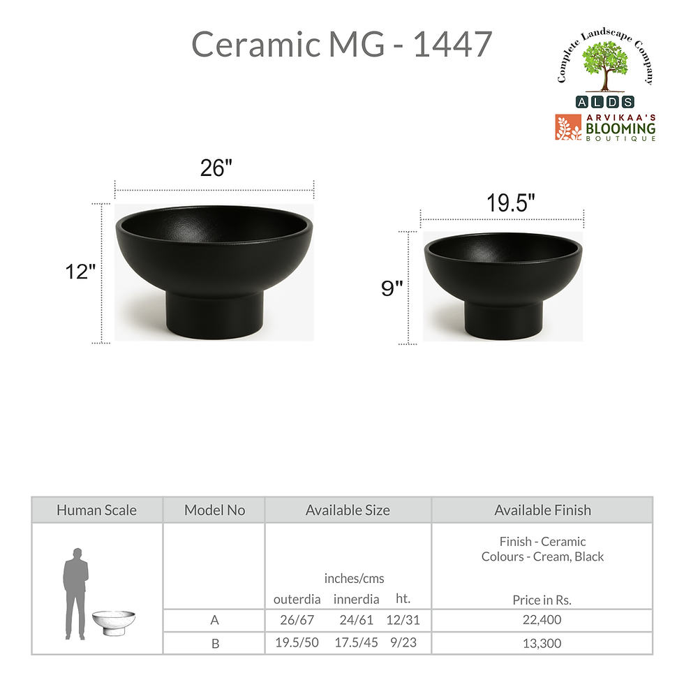 Thumbnail: Ceramic MG 1447