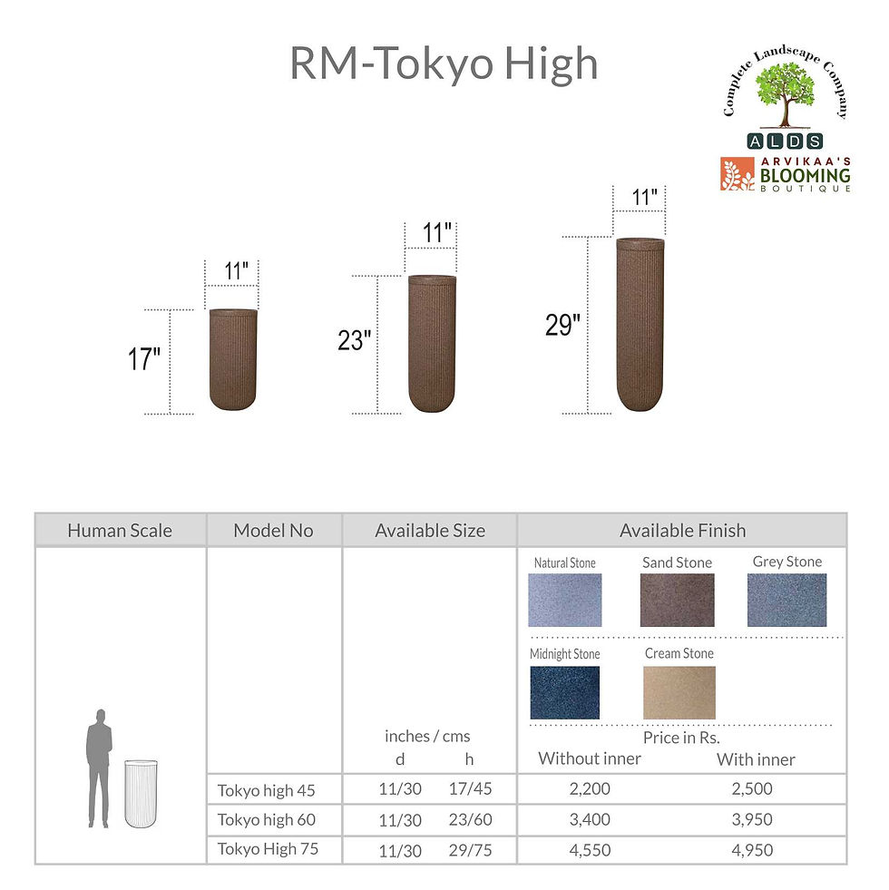 Thumbnail: RM - Tokyo High