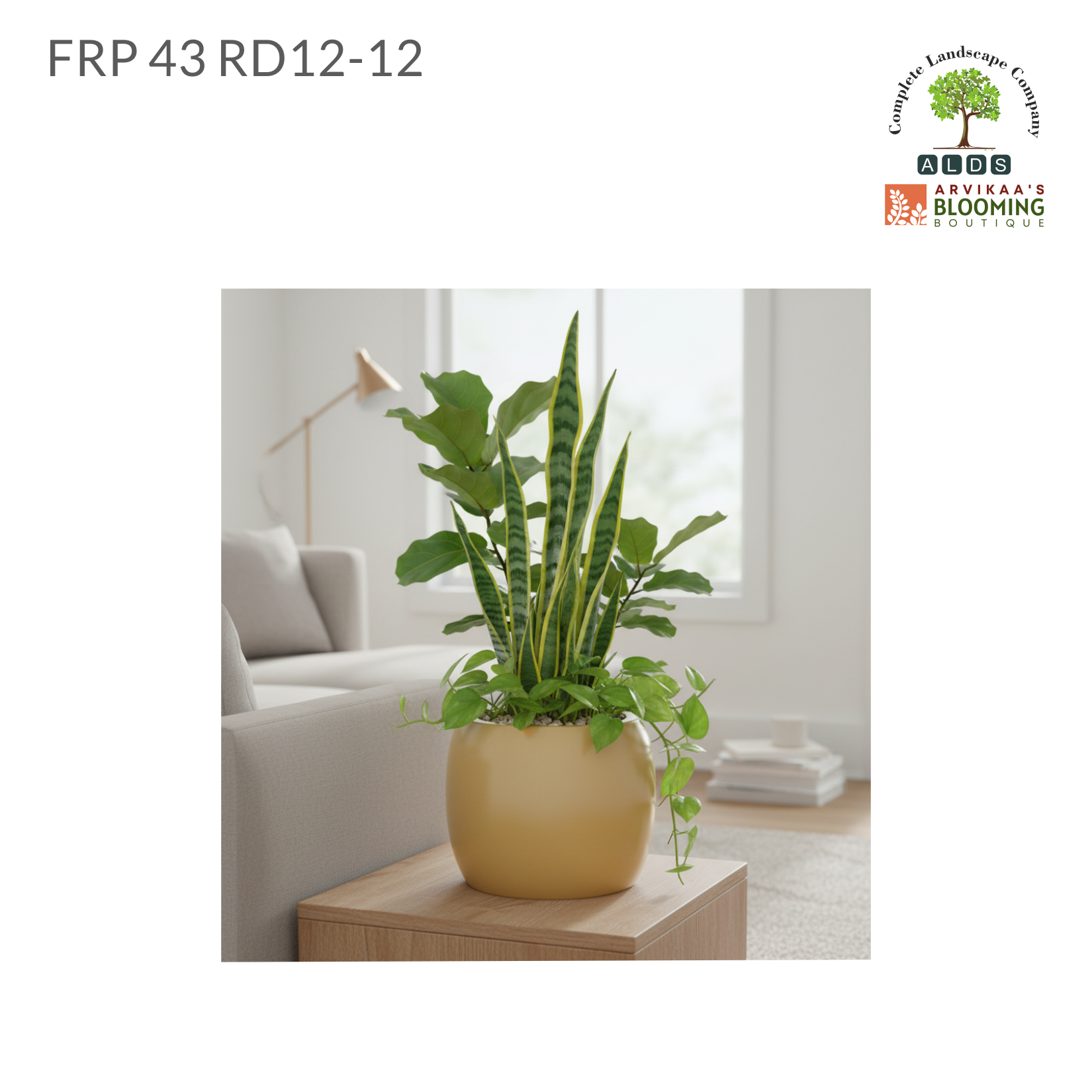 FRP 43