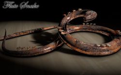 Snake13321.jpg