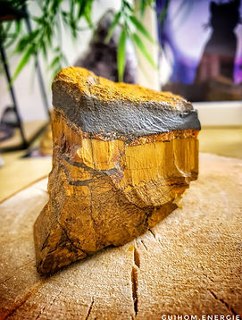 WhatsApp Image 2020-04-03 at 15.53.53 (4