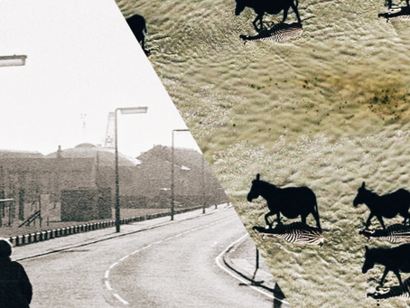 "Babylon" (Hak Baker): An Odyssey on The Isle of Dogs