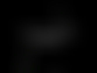 🎉 Toynbee Topia 2026 🎉