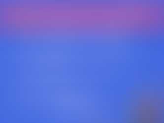 タヒチアンダンス大阪基礎ワークショップのお知らせ