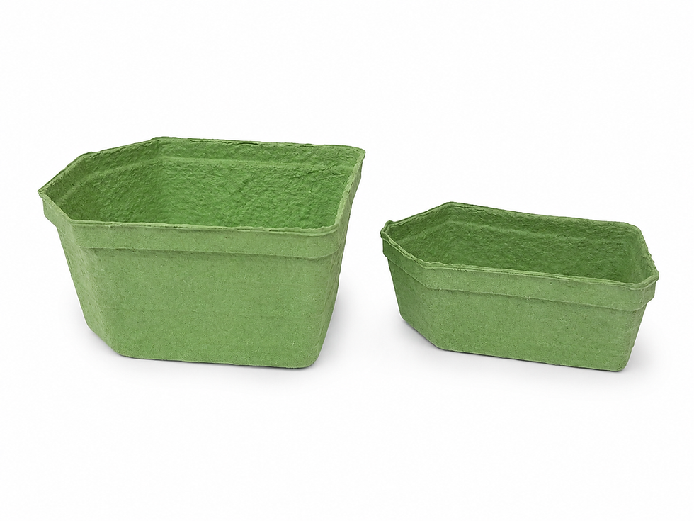 Pulp bakjes.png
