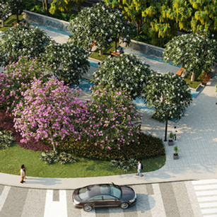 Executive project for the real estate market
