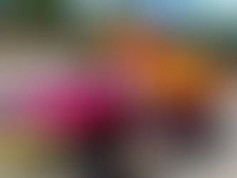 Every Fail moves me forward