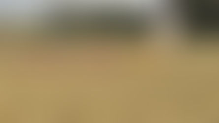 L'équifun: une première approche de la compétition