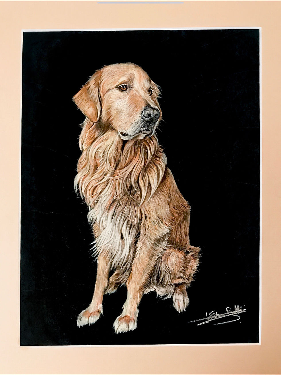 Miniature : Commandez son portrait aux PASTELS SECS!