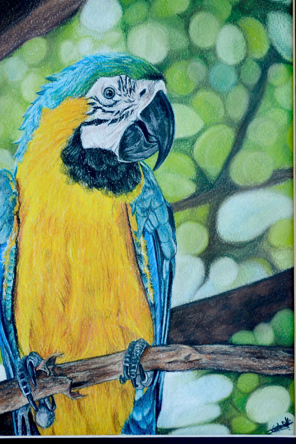 Miniature : Commandez son portrait aux PASTELS SECS!