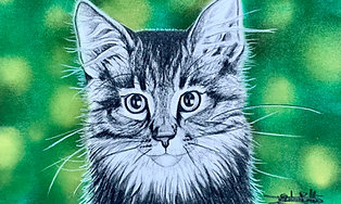 Commandez son Mini-portrait!
