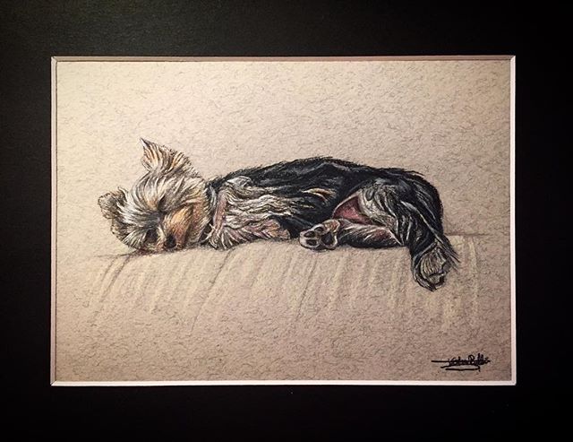 Petit chien endormi