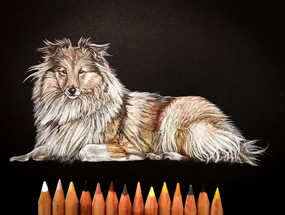 Miniature : Commandez son portrait aux CRAYONS DE COULEUR!