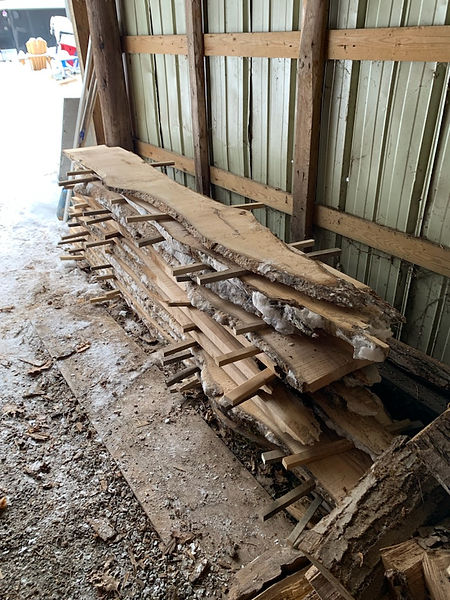 Lots of Live edge Parry Sound