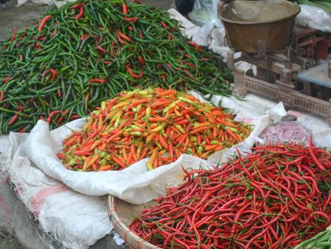 PT Rifan Financindo Berjangka - Harga Cabai Rawit Hijau Naik Rp 14 Ribu per Kg