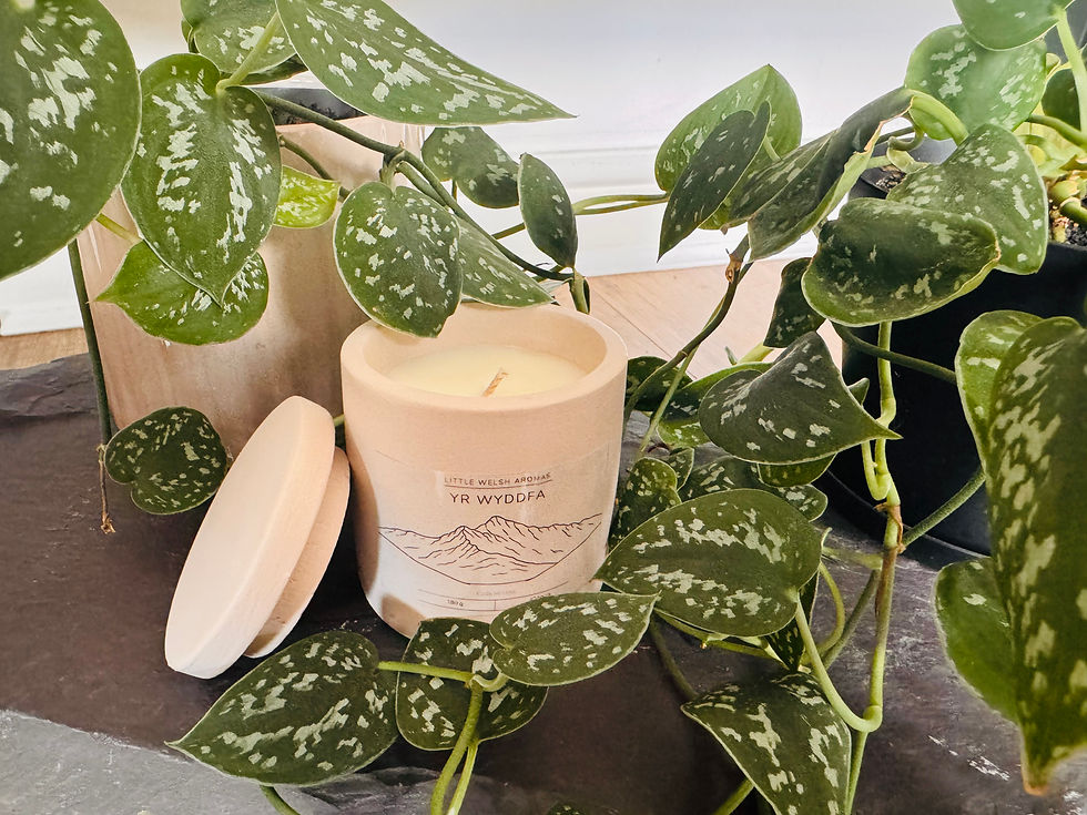 Thumbnail: The 3 Peak Candle Collection